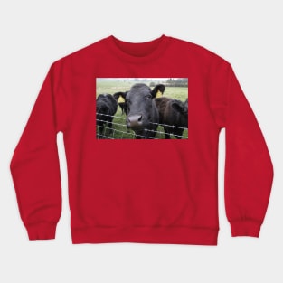 Here's Looking At Moo, Kid Crewneck Sweatshirt